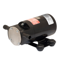 DC Driven Pump F2P10-19 - PP10-24886-01X - Johnson Pump